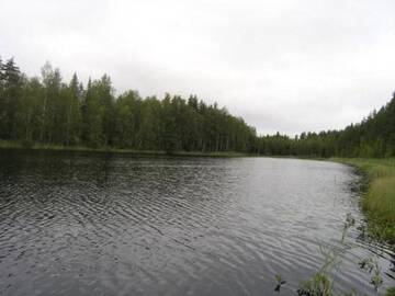 Фото номера Дом для отпуска Дома для отпуска Holiday Home Pyöriäinen г. Pääskynniemi 56